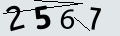 verifycode